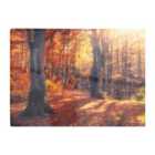 Warren Reed - Designer Autumn Forest Glass Chopping Board