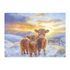 Warren Reed - Designer Snowy Baby Highland Cows Glass Chopping Board