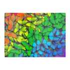 Warren Reed - Designer Multicoloured Butterflies Glass Chopping Board