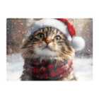 Warren Reed - Designer Christmas Ragamuffin Glass Chopping Board