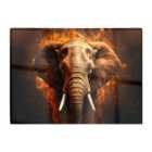 Warren Reed - Designer Splashart Elephant And Fire Glass Chopping Board