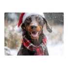 Warren Reed - Designer Snowy Christmas Brown Doberman Dog Glass Chopping Board