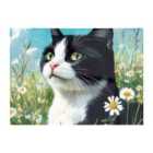 Warren Reed - Designer Black And White Cat In A Summer Meadow Chopping Board