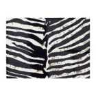 Warren Reed - Designer Zebra Pattern Glass Chopping Board