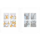 Bev Davies Photo Booth Geese Photo Booth Hares Set Of 2 Framed Art 30X40Cms