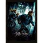 Harry Potter (deathly Hallows Part 1)  
