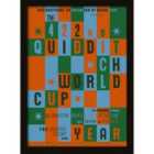 Harry Potter (quidditch World Cup)  