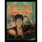 Harry Potter Book (the Goblet Of Fire)