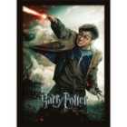 Harry Potter (deathly Hallows Part 2 -wand)