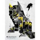 Batman (80Th Anniversary) 30X40