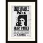 Harry Potter (undesirable No1)  