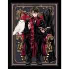 Harry Potter Wizard Dynasty (harry Chair) Collector Print (framed)