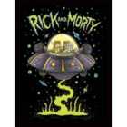 Rick And Morty (ufo)