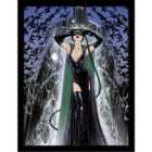 Dc Comics (catwoman Pose) Collector Print (framed)
