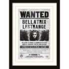 Harry Potter (bellatrix Wanted)  