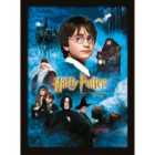 Harry Potter (philosophers Stone)  