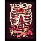 Rick And Morty (anatomy Park)