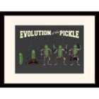 Rick And Morty (evolution Of The Pickle)