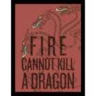 Game Of Thrones (fire Cannot Kill The Dragon)