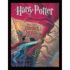 Harry Potter Book (the Chamber Of Secrets)