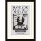 Harry Potter (sirius Wanted)  