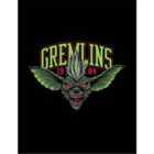 Gremlins (gremlins 1984) Collector Print (framed)