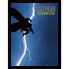 Batman (the Dark Knight Returns)