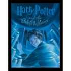 Harry Potter Book (the Order Of The Phoenix)