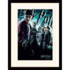 Harry Potter (half-blood Prince Dramatic)