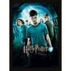 Harry Potter (order Of The Phoenix)  