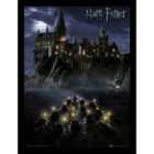 Harry Potter (hogwarts School)