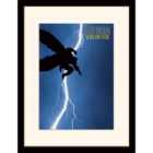 Batman (the Dark Knight Returns)