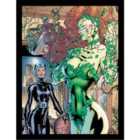 Dc Comics (poison Ivy Cash) Collector Print (framed)