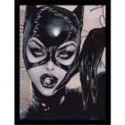 Dc Comics (catwoman Pearls) Collector Print (framed)