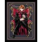 Harry Potter Wizard Dynasty (ron Chair) Collector Print (framed)