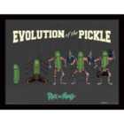 Rick And Morty (evolution Of The Pickle)