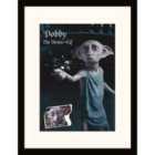 Harry Potter (dobby)