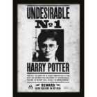 Harry Potter (undesirable No1)  