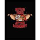 Gremlins (never Feed After Midnight) Collector Print (framed)