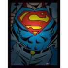 Dc Comics (superman Torso)