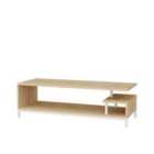 Decorotika Reilly 120 Cm Tv Unit Tv Stand With Open Shelves - White And Sapphire Oak