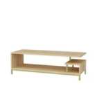 Decorotika Reilly 120 Cm Tv Unit Tv Stand With Open Shelves - Gold And Sapphire Oak