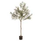 Scottish Everlastings Ltd Olive Tree 165cm