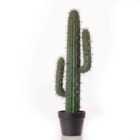 Scottish Everlastings Ltd Faux Cactus 70cm