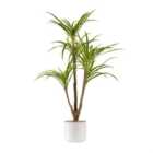 Scottish Everlastings Ltd Real Touch Yucca In White Speckled Plastic Pot 90cm