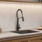 Garden Sanctuary Modern Kitchen Pull Down Faucet - Black