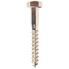 Wickes External Stainless Steel Coach Screws - M10 x 75mm - Pack of 4
