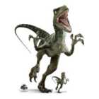 Star Cutouts Official Jurassic World Charlie (Raptor) Dinosaur