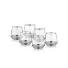 Rozi Glam Collection Silver Tumblers (Set of 6)