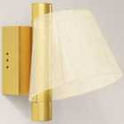 HOMCOM LED Wall Lamp 2 Pack, Modern Indoor Starry Wall Light, Gold